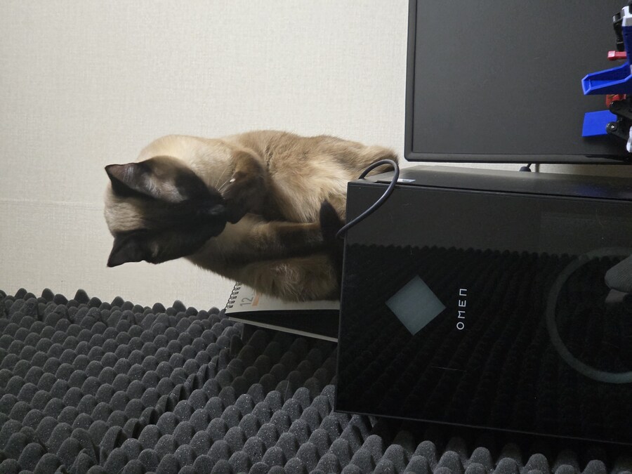 우리집 컴퓨터에는 고양이 한마리가 살고 있다!!!_14.jpg