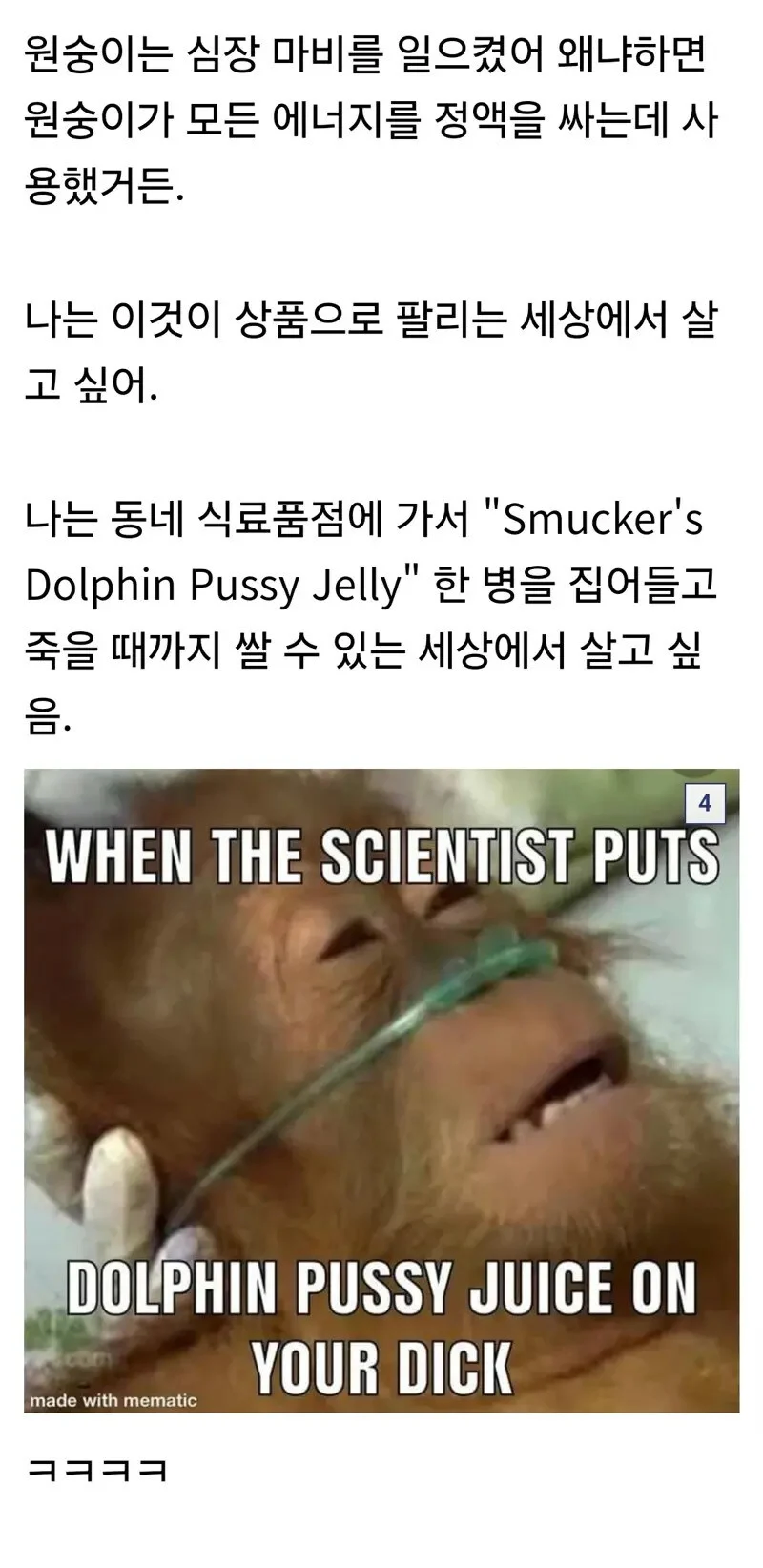 암컷 돌고래에게서 분비되는 놀라운 물질_2.webp