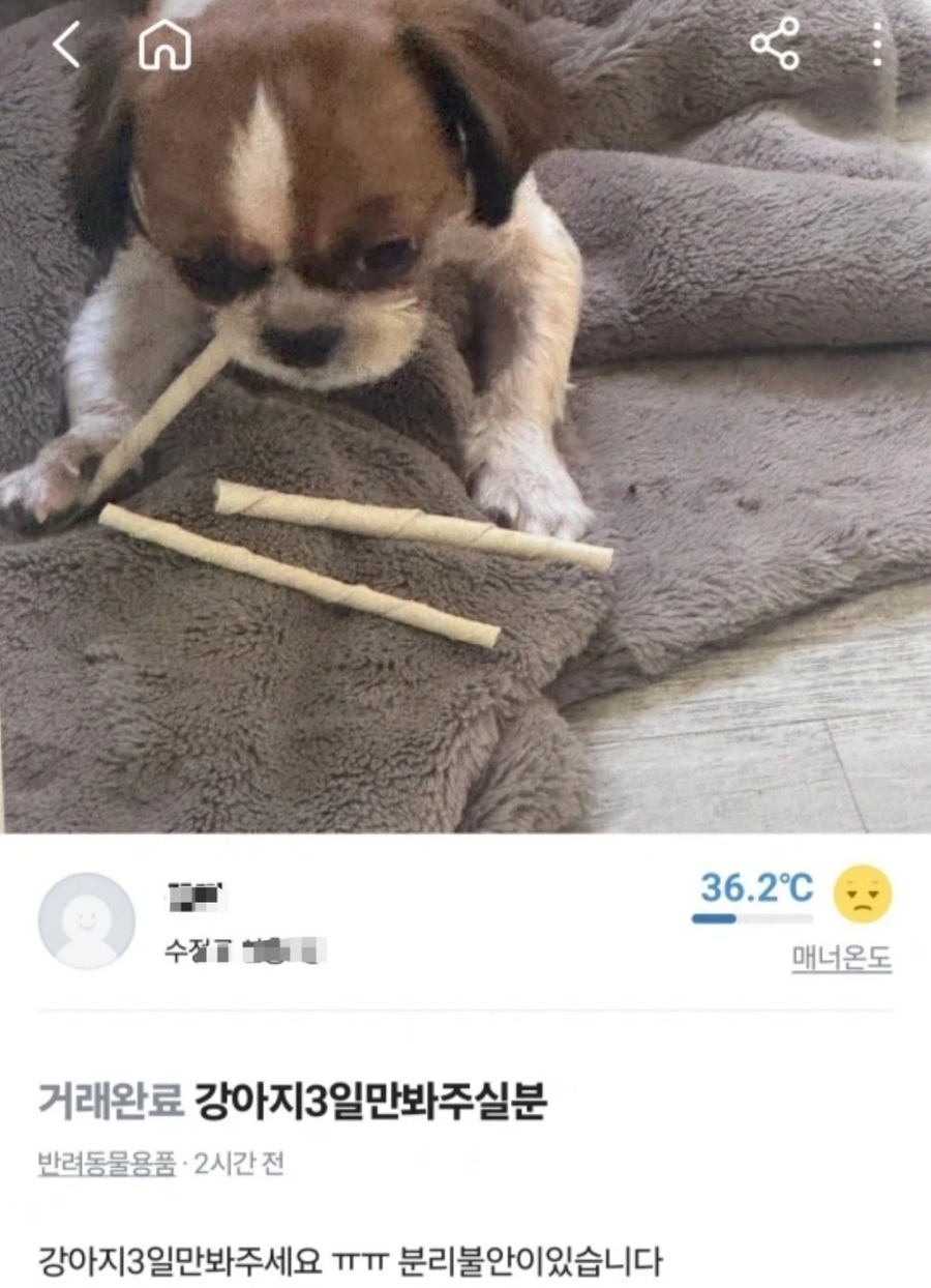 당근마켓에 올라온 강아지 유기방법_1.webp
