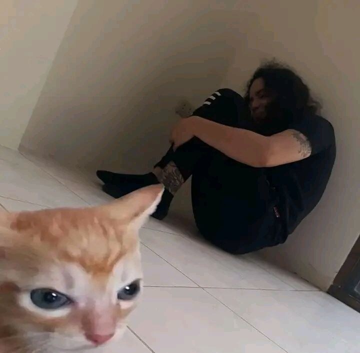 고양이: 흥. 다시는 이 몸을 얕보지마라 _1.jpg