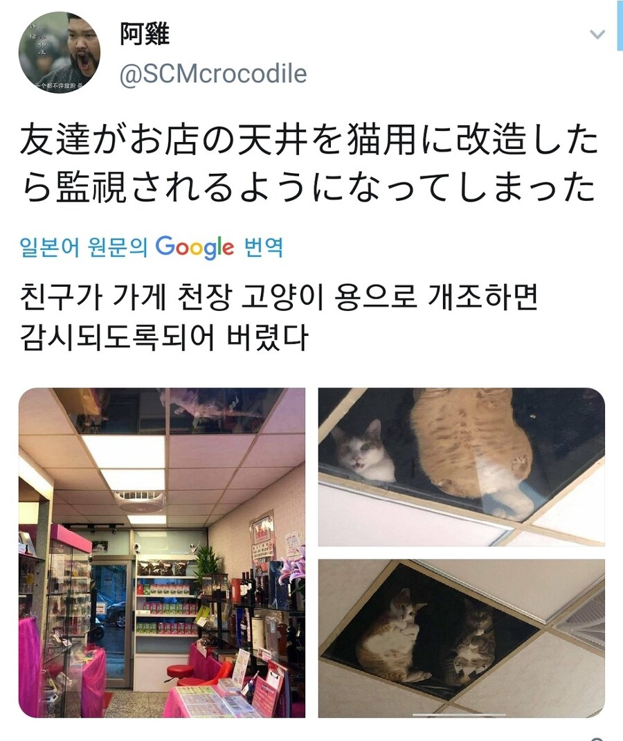 가게 천장에 유리천장이 설치되어 있어요.jpg_1.jpg