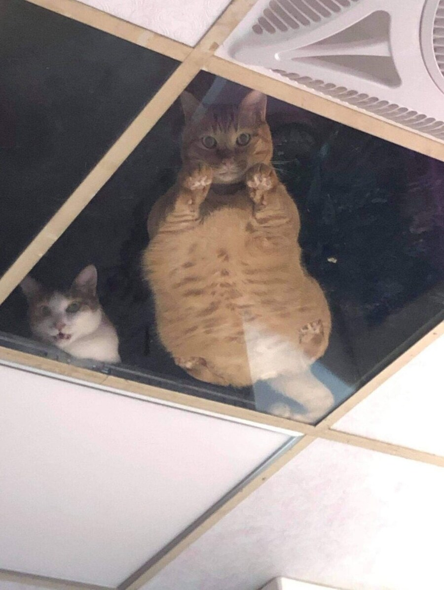 가게 천장에 유리천장이 설치되어 있어요.jpg_3.jpg