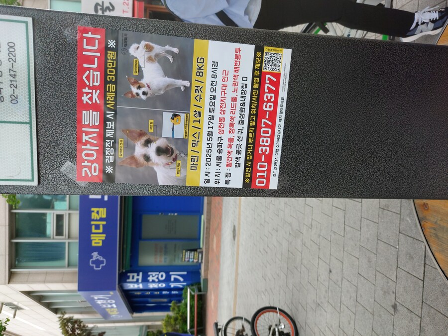 잃어버린 개를 찾습니다_1.jpg