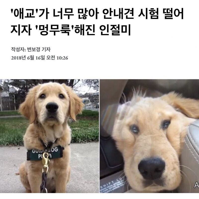 아스나 멍무룩_2.jpg