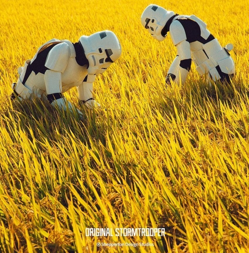 뜻밖의 막걸리 업체 콜라보;;; jpg._5.jpg