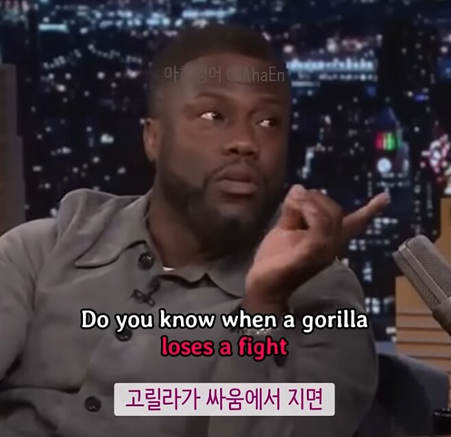 고릴라는 싸움에서 지면 무엇을 잃는가.._1.png