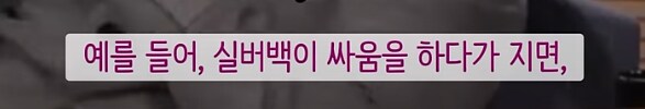고릴라는 싸움에서 지면 무엇을 잃는가.._5.png