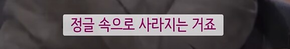 고릴라는 싸움에서 지면 무엇을 잃는가.._8.png