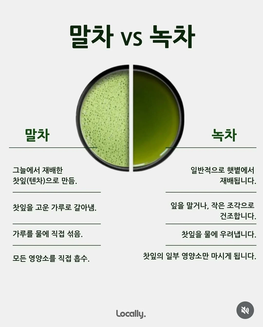 말차와 녹차의 차이점._1.webp