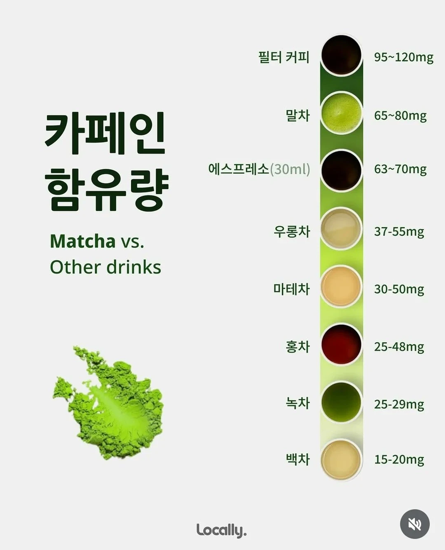 말차와 녹차의 차이점._2.webp