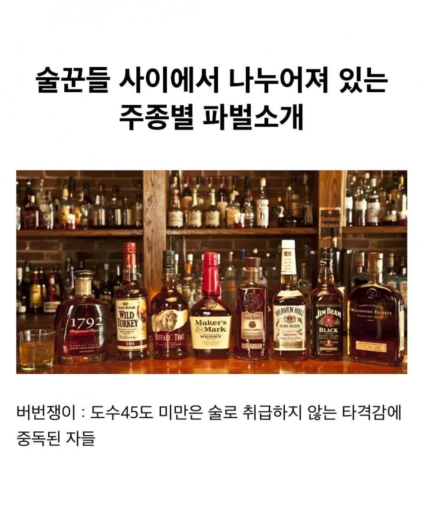 주종별 파벌소개.jpg_1.jpg