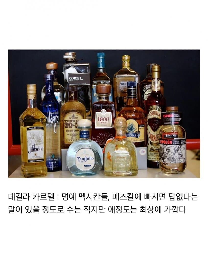주종별 파벌소개.jpg_3.jpg