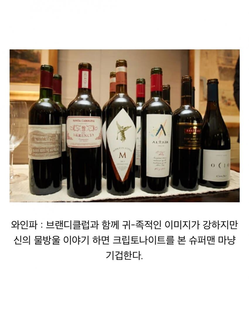 주종별 파벌소개.jpg_10.jpg