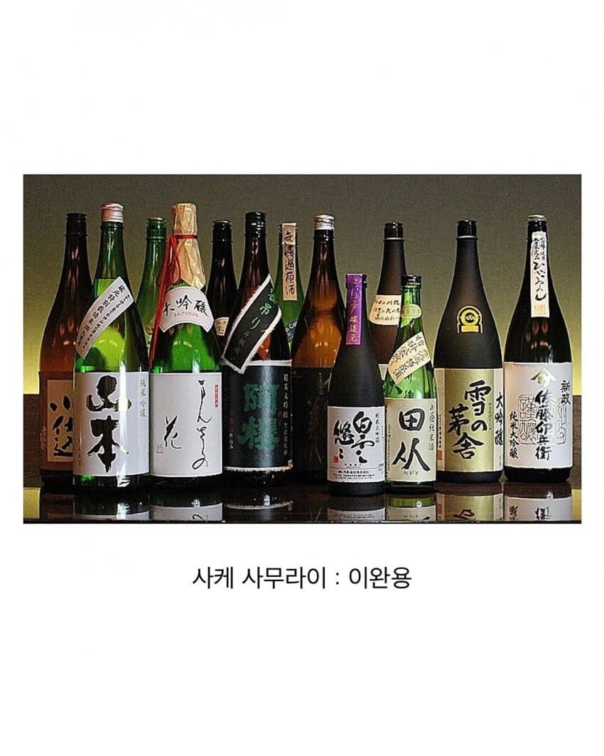 주종별 파벌소개.jpg_11.jpg