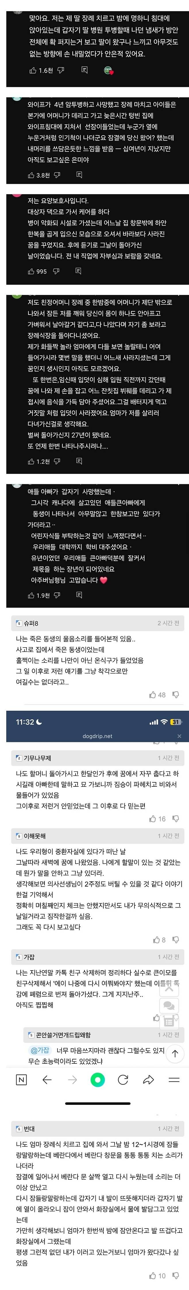 죽은 사람이 찾아왔다는 사람들_1.jpg