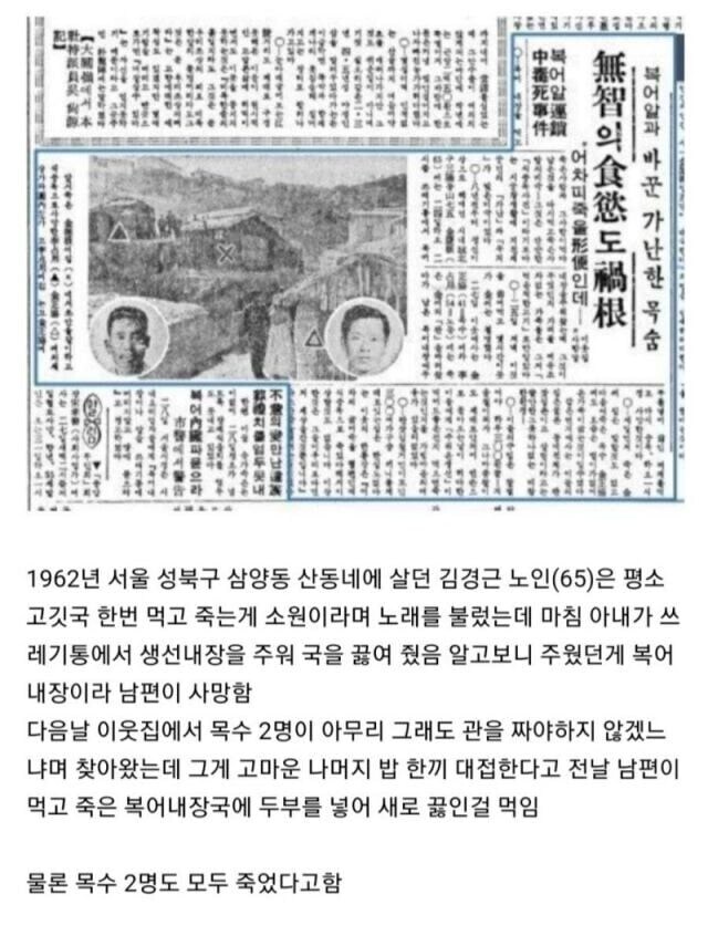 복어알과 바꾼 가난한 목숨 ㅠㅠ jpg_1.jpg