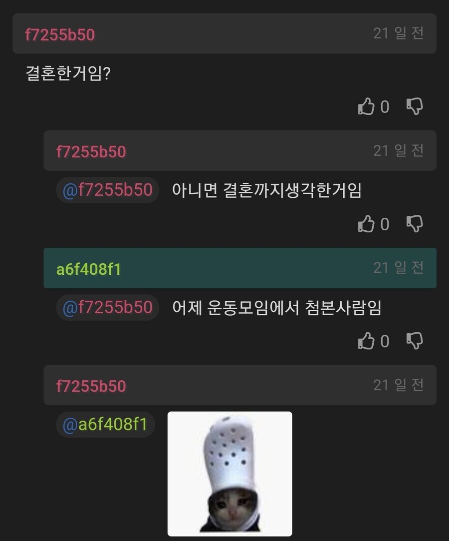 계란 못깐다고 구받받아서 이혼 생각중이다_2.png