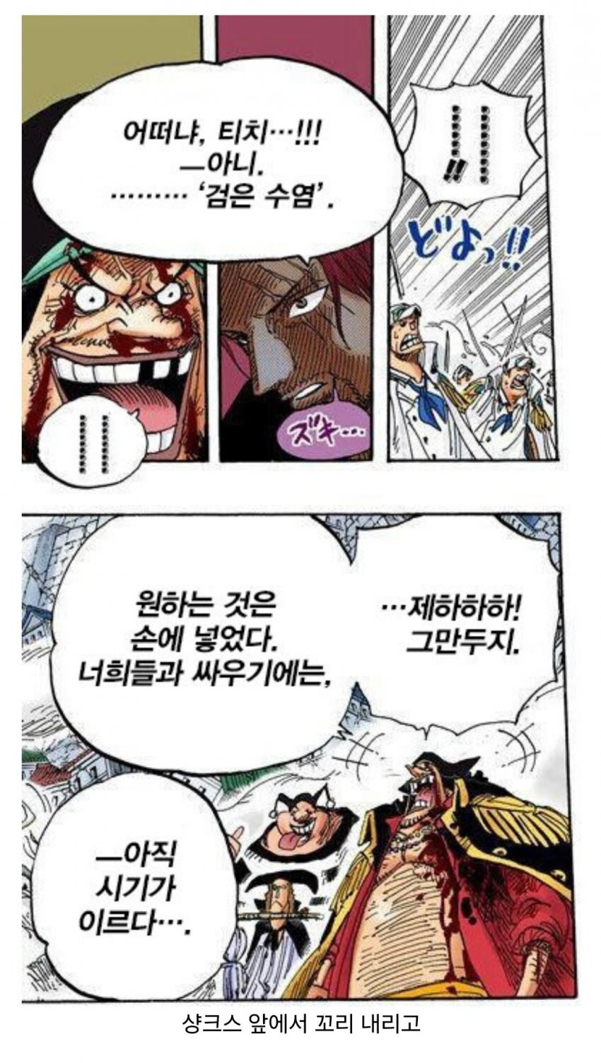 전투력 강한지 의문인 원피스 빌런 캐릭터.jpg_5.jpg
