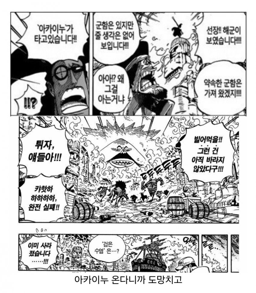 전투력 강한지 의문인 원피스 빌런 캐릭터.jpg_6.jpg