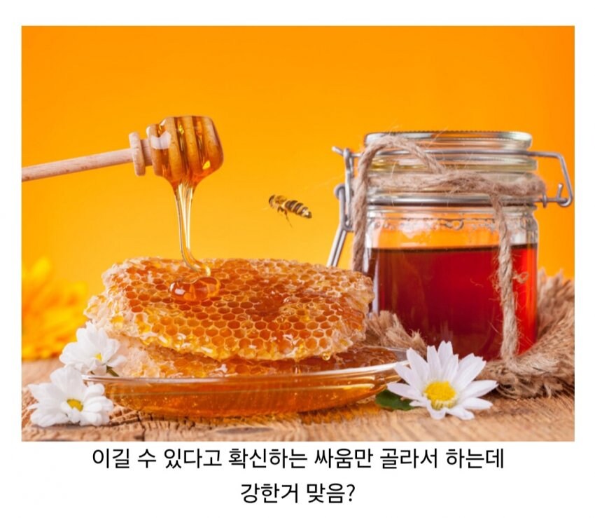 전투력 강한지 의문인 원피스 빌런 캐릭터.jpg_9.jpg