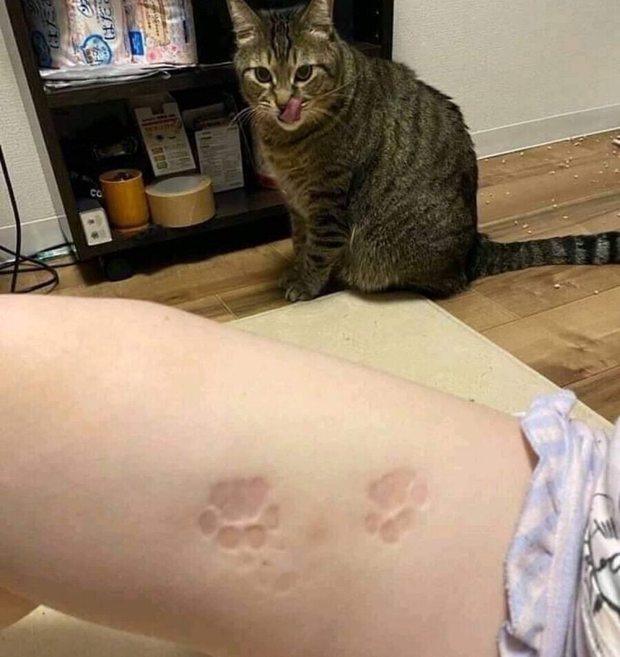 캐르 키우면 생기는 흉터_1.jpg