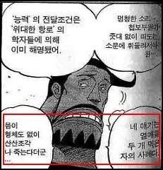 의외로 원피스 세계관의 암묵적인 룰_1.jpg
