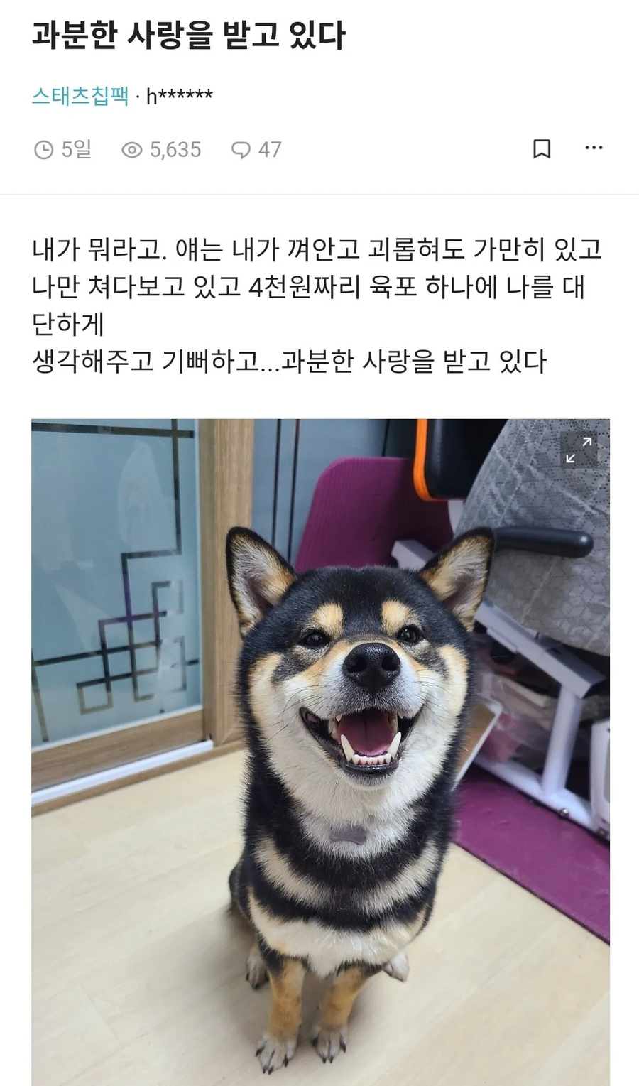 과분한 사랑을 받고 있다.jpg_1.webp