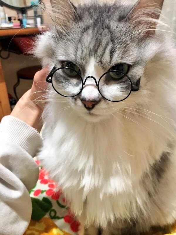 안경 하나로 섹시해지기_1.jpg