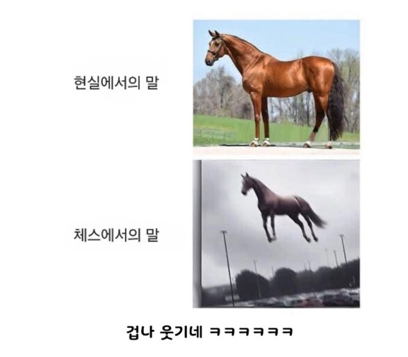 체스와 현실의 차이_1.png