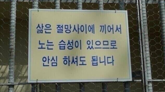 삶의 습성.jpg_1.jpg