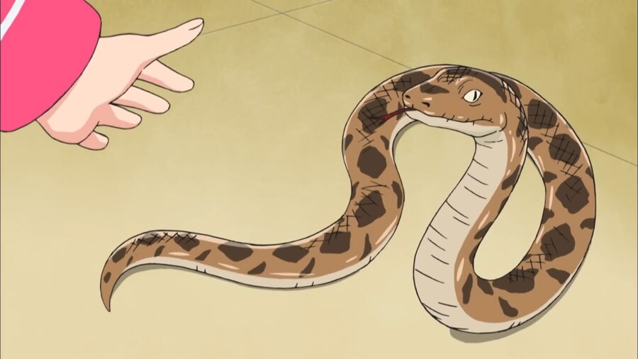 뱀한테 물릴뻔한 아이가 있을시 대처방법_6.png