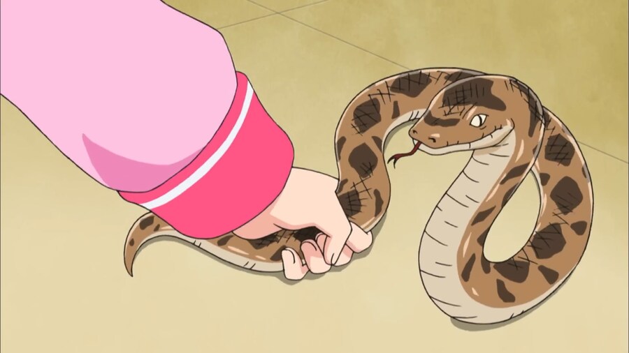 뱀한테 물릴뻔한 아이가 있을시 대처방법_7.png