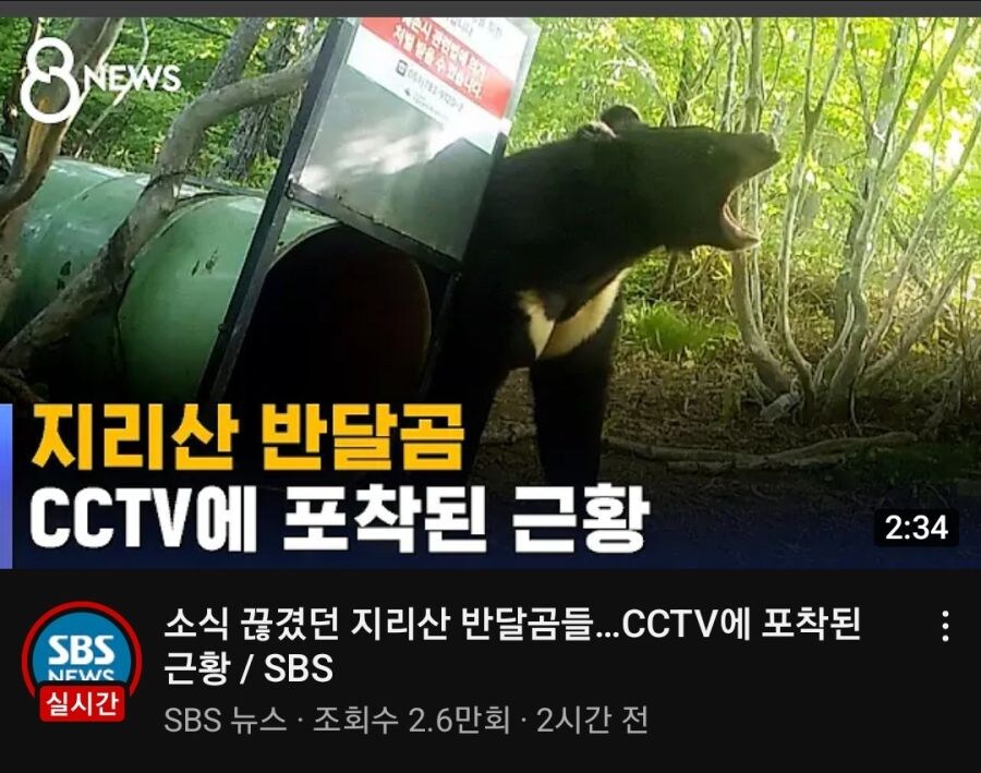 이해가 안간 역대급 삽질_3.jpg