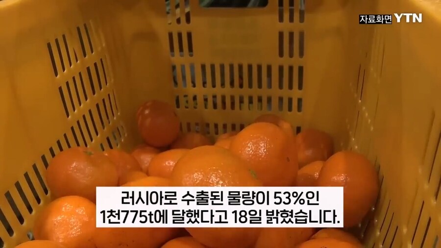 러시아도 못참는 한국의 맛_3.jpg