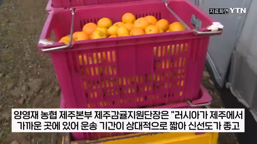 러시아도 못참는 한국의 맛_8.jpg