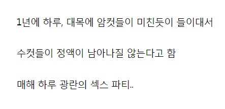 암컷 경쟁에 수컷 정액이 남아나질 않는다는 동물_2.png