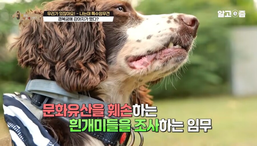대한민국 문화재 지킴이_1.jpg