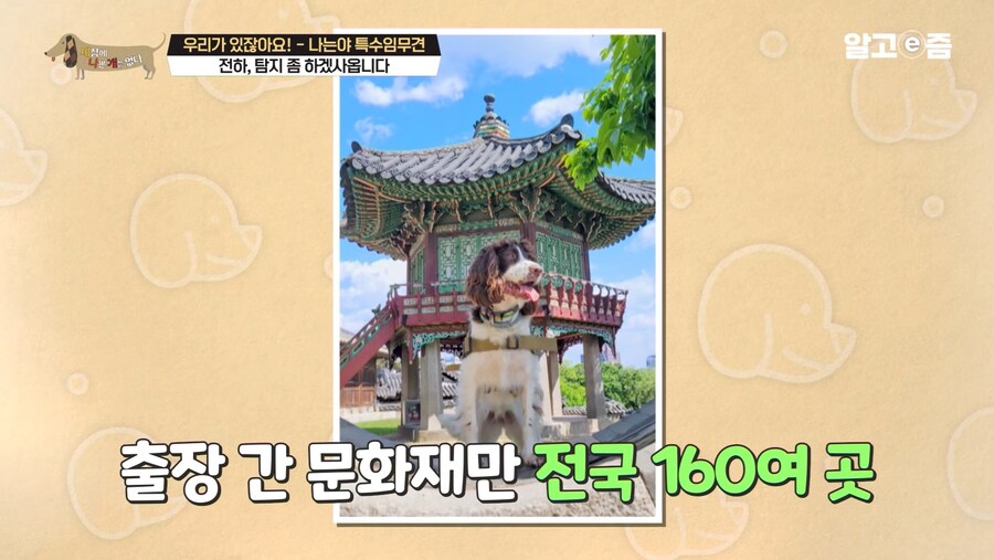 대한민국 문화재 지킴이_3.jpg