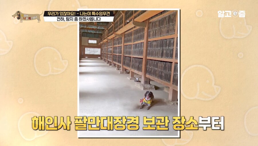 대한민국 문화재 지킴이_4.jpg