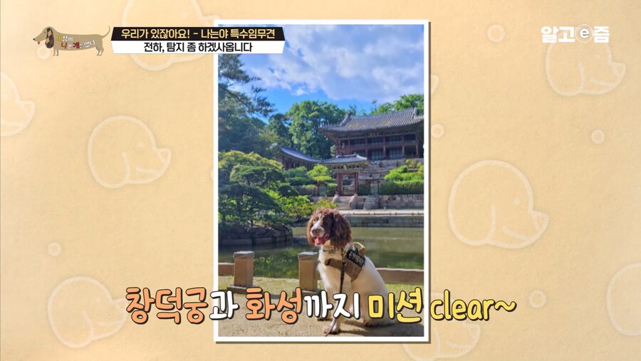대한민국 문화재 지킴이_5.jpg