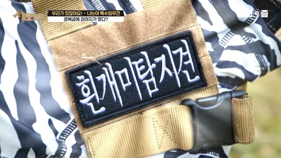 대한민국 문화재 지킴이_2.jpg