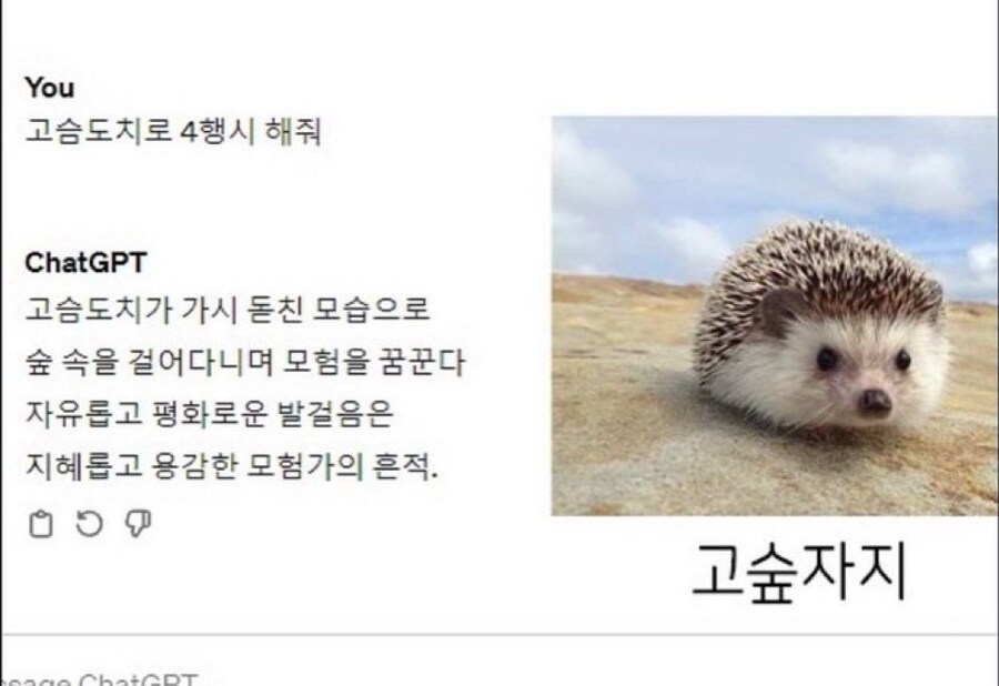 지피티 : 자지!_1.jpg