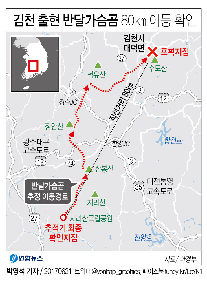 반달가슴곰이