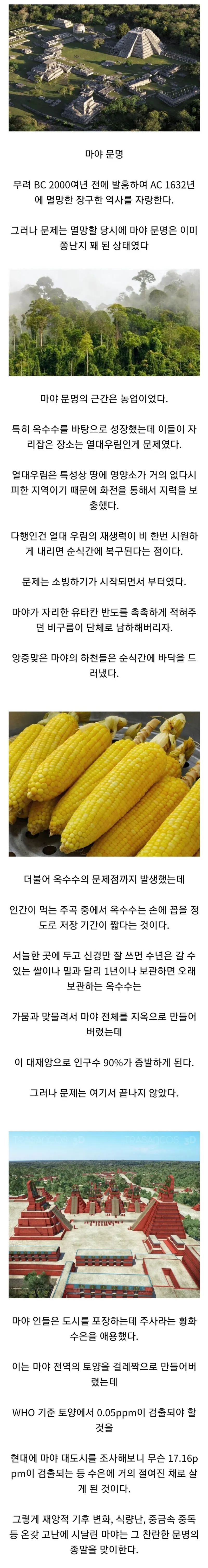 3000년된 문명이 망한 이유.jpg_1.webp