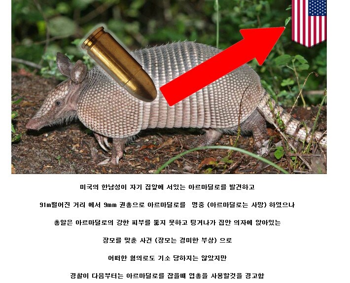 미국의 야생동물 처리 방법_1.png