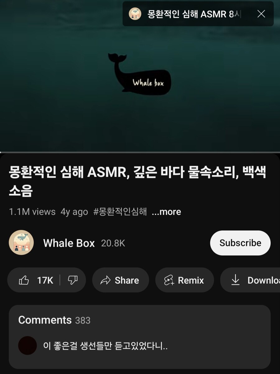 웃긴 유튜브 댓글_1.jpg