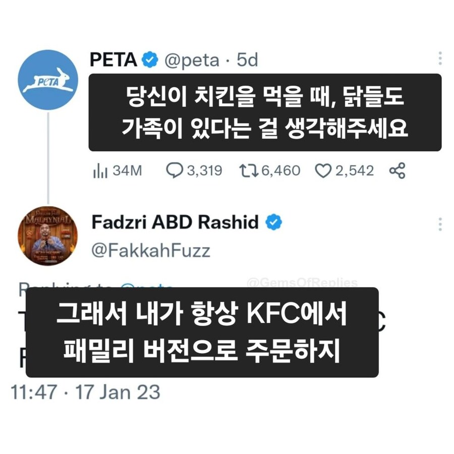 당신이 치킨을 먹을 때, 닭들도 가족이 있다는 걸...._1.jpg