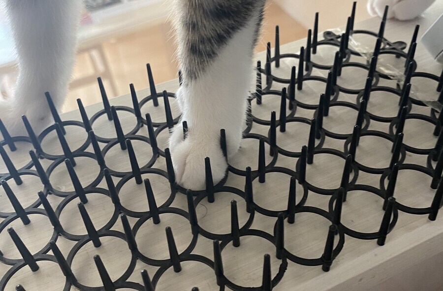 길고양이 퇴치용 장판 구매 후기. jpg_1.png