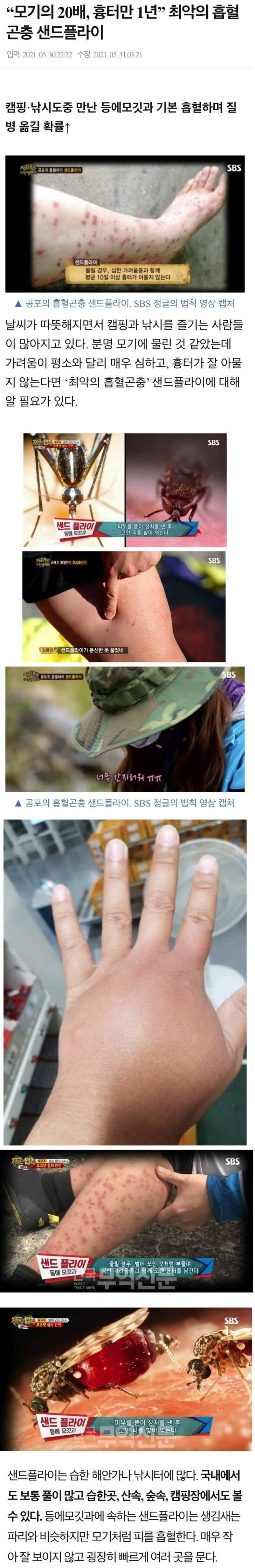 최악의 흡혈 곤충._1.jpg