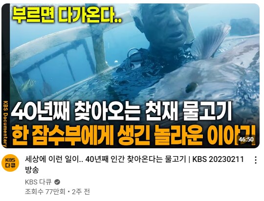 KBS 유튜부 새기야 인면어 인줄 알았잖아_1.png